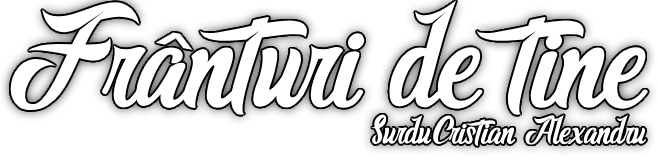 Logo Franturi de Tine